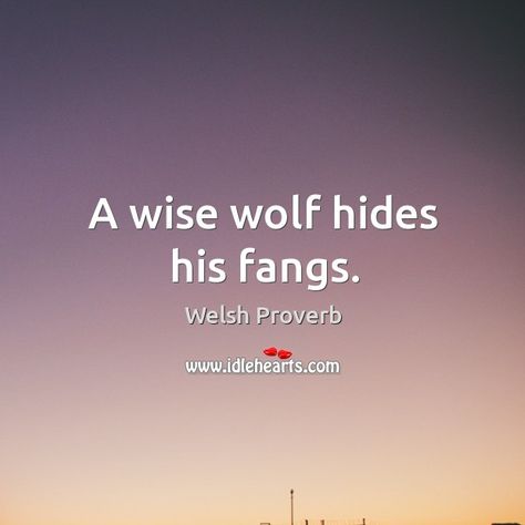 Welsh Proverbs, Welsh Sayings, Life Quotes Relationships, Quotes Relationships, Full Quote, Proverbs Quotes, Interesting Quotes, Pottery Mugs, True Words