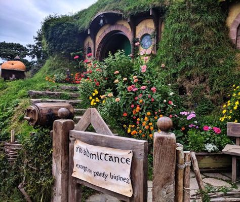 Bag's End is real, guys. I saw it! #hobbiton #lotr #bilbo #hobbiton Hobbit Party, Casa Hobbit, Hobbit Hole, Bilbo Baggins, Party Business, Hobbit House, The Shire, Fellowship Of The Ring, Have Inspiration