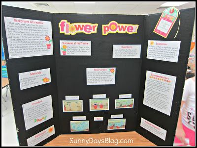 FREE Science Fair Project Idea and Printables www.homeschoolgiveaways.com Download these free printables and get a great start learning about creating a science fair project board! Plant Science Fair Projects, 2nd Grade Science Projects, Science Fair Display Board, Science Project Board, Easy Science Fair Projects, Flower Science, Science Fair Board, Science Fair Projects Boards, Cool Science Fair Projects