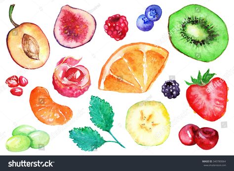 Watercolor kiwi strawberry blueberry blackberry raspberry orange banana grape mint mandarin clementine cherry lychee fig plum pomegranate fruit berry set isolated #Ad , #spon, #orange#raspberry#banana#mint Fruit Sketch, Kiwi Strawberry, Raspberry Orange, Fruit Vector, Pomegranate Fruit, Watercolor Fruit, Strawberry Blueberry, Fruit Painting, Exotic Fruit