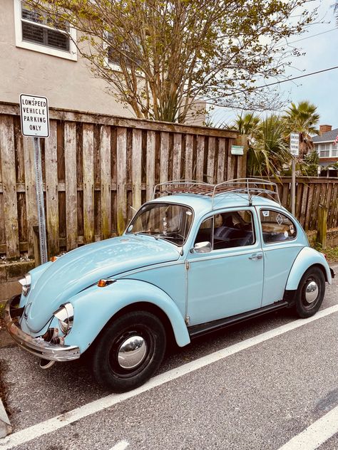 Volkswagen Beetle Vintage, Retro Surf, Volkswagen Bug, Vw Volkswagen, Vintage Vw, Vw Bug, Volkswagen Beetle, Vw Beetles, Old Cars