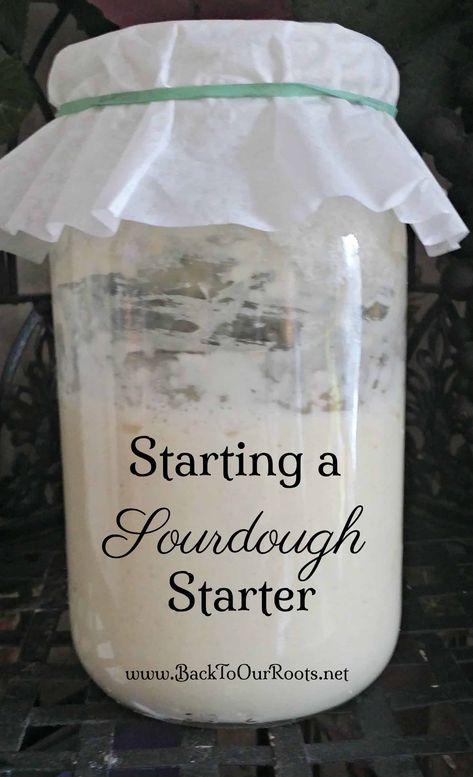 Microwave Bread, Sourdough Bread Starter, Dough Starter, Friendship Bread, Bread Starter, Sourdough Starter Recipe, Sour Dough, Amish Recipes, Bread Machine Recipes