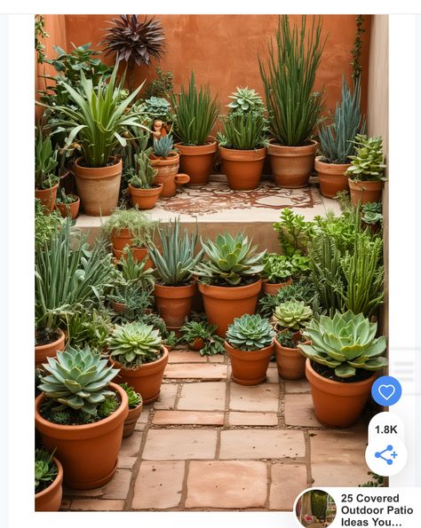 Southwest Patio Ideas, Plant Arrangements Outdoor, Southwest Patio, Cozy Backyard Patio, Garden Provence, Boho Outdoor Patio, Arizona Decor, Plants Outside, Brick Patio