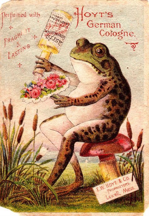 Clearly Vintage: Trade Card Advertisements Frosch Illustration, Frog Illustration, Postal Vintage, Vintage Advertising Posters, Frog Art, Trade Cards, Frog And Toad, Illustration Vintage, Vintage Illustrations