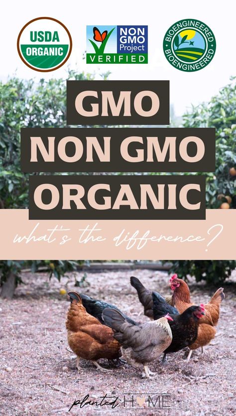 GMO, Non-GMO, Organic. What's the difference? Gmo Free Food, Genetically Modified Food, Gmo Foods, Organic Lifestyle, Vegetable Protein, Soy Protein, Protein Supplements, Sustainable Farming, Soil Health