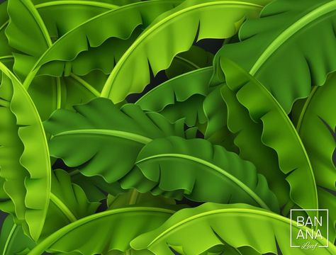 Banana Leaves Background, Green Tropical Leaf, Vector Illustration Leaf Vector Illustration, Leaf Vector, Leaves Background, Background Green, Banana Leaves, Leaves Vector, Leaf Background, Buddha Image, Tropical Leaf