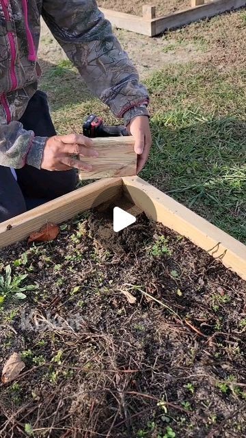 Vegetable Boxes Garden, Diy Wooden Raised Garden Bed, Garden Structures Diy, Raised Bed Garden Diy, Pallet Garden Bed, Raised Garden Beds Ideas Layout, Small Garden Bed Ideas, Unique Raised Garden Beds, Raised Bed Layout