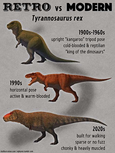 Retro vs Modern #22: Tyrannosaurus rex Probably the most famous and popular dinosaur of all time, Tyrannosaurus rex is also the only species commonly known by both its full scientific name and its... Retro Dinosaur Art, Feathered Raptor, Spinosaurus Aegyptiacus, Prehistoric Animals Dinosaurs, Feathered Dinosaurs, Prehistoric Wildlife, Ancient Animals, Prehistoric Art, Paleo Art