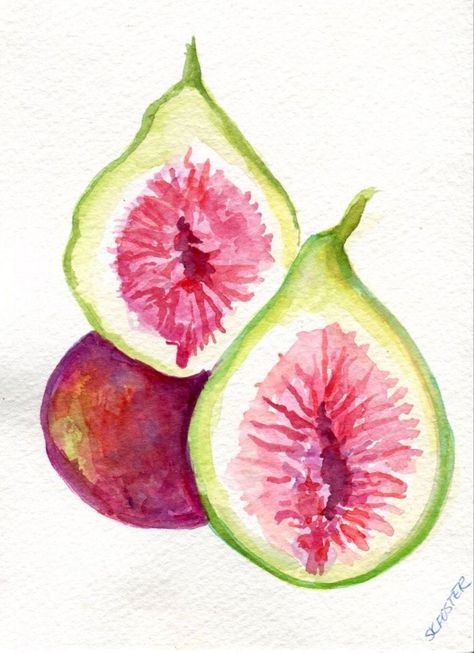 Fruit Illustration Art, Illustration Art Watercolor, Fruit Artwork, Watercolor Fruit, Art Watercolor Painting, Fruit Illustration, Illustration Art Drawing, Watercolor Art Lessons, Arte Inspo