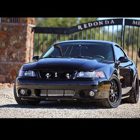 @igfords #ford#Mustang#SVT check out @AMM_Shirts tag-> #american_muscle_mustangs feeling this V10 beast! Ford Svt, American Muscle, Ford Mustang, Mustang, Ford, Trucks, Cars