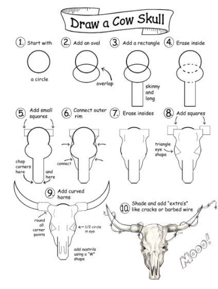 How To Draw A Bull Skull, How To Draw A Cow Skull Step By Step, How To Draw A Cow Skull, Desert Skull Drawing, Cow Eyes Drawing, How To Draw A Longhorn, Cow Skull Art Drawing, How To Draw A Buffalo, How To Draw Western Things