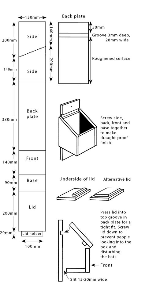 Bat Box Plans DIY | Build a Bat Box - The RSPB Bat Boxes Diy How To Build Easy, Bat Box Plans, Screech Owl Box Plans, Build A Bat House, Bat House Plans, Shooting House, Pyramid House, Bat Box, Hummingbird House