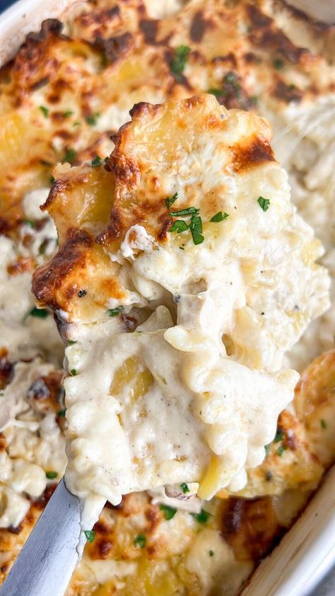 Pasta Bake With White Sauce, Pasta To Feed A Crowd, Alfredo Pasta For A Crowd, Chicken Alfredo Penne Bake, Dinner Recipes Shredded Chicken, Dinners Toddlers Will Eat, Recipes To Make With Rotisserie Chicken, Chicken Alfredo For A Crowd, Shredded Chicken Dinner Recipes