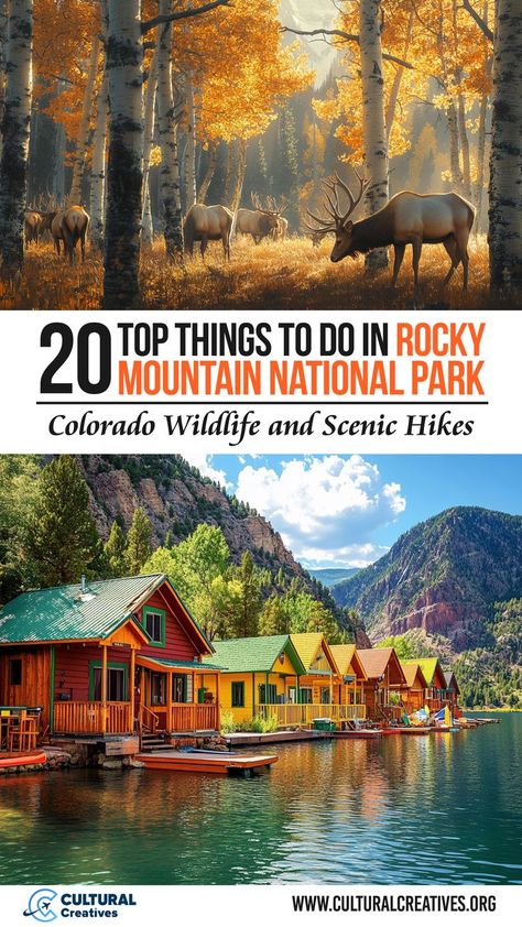 20 Top Things to Do in Rocky Mountain National Park, featuring a serene autumn scene with elk among golden aspen trees and colorful lakeside cabins surrounded by rugged mountain landscapes. Rocky Mountains National Park, Rocky Mountain National Park With Kids, Trail Ridge Road Colorado, Colorado National Parks, Rocky Mountains Colorado, National Parks America, Rocky Mountain National Park Colorado, New England States, Alpine Lake