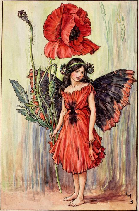 The Poppy Fairy by Cicely Mary Barker Poppy Fairy, Grafika Vintage, Fairy Illustration, Cicely Mary Barker, Vintage Fairies, Hur Man Målar, Flower Fairies, Art Et Illustration, Fairy Angel