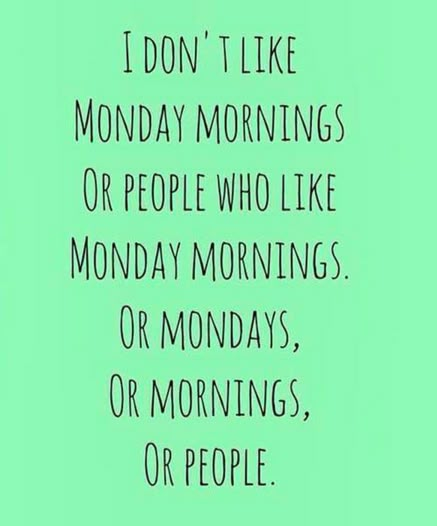 Monday Morning Humor, I Dont Like Mondays, Monday Sucks, Happy Monday Quotes, I Hate Mondays, Quotes Arabic, Monday Humor, Hate Mondays, Monday Quotes