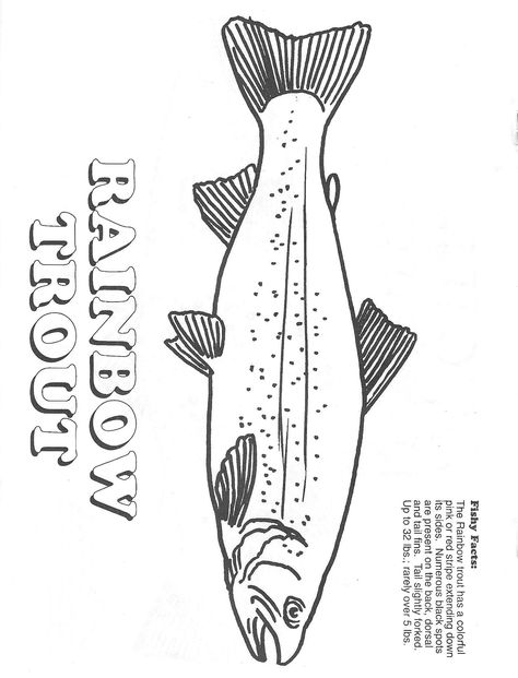 Arkansas Game and Fish Rainbow trout Steelhead Trout Tattoo, Fish Outline Drawing, Trout Outline, Rainbow Trout Drawing, Fishing Art Drawing, Rainbow Trout Tattoo, Fish Line Art, Trout Drawing, Trout Tattoo