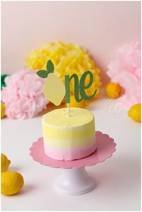 Pink Lemonade Cheesecake, Lemon First Birthday, Lemonade Party Theme, Lemon Party Decorations, Pink Lemonade Frosting, Pink Lemonade Cookies, Lemonade Stand Birthday, Pink Lemonade Cake, Citrus Party