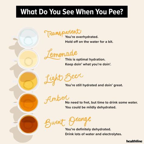 Healthline on Instagram: “Wondering if you're dehydrated? Urine luck! (Sorry, we had to 🤣). We put together a pee chart to help you determine just how hydrated you…” Pee Chart, Water Intake Chart, Mind Body Soul Spirit, How To Get Tall, Turmeric Water, Increase Heart Rate, Colorful World, Water Intake, What Do You See