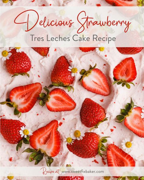 If you're looking to try a new dessert, this Delicious Strawberry Tres Leches Cake recipe is perfect. It's a fresh take on the classic Latin American cake, featuring a fluffy sponge cake soaked in three types of milk. Topped with fresh strawberries and fresh whipped cream, this cake is sure to impress your family and friends #deliciousstrawberrytreslechescakerecipe #strawberrytreslechescake #strawberrytreslechescakerecipe Raspberry Tres Leches Cake, Tres Leches Cake With Strawberry Filling, Strawberry Tres Leches Cake Easy, Strawberry Tree Leches Cake, Tres Leches Strawberry Cake, Strawberry Tres Leches Cake Recipe, Strawberry Tres Leches Cake, Strawberry Tres Leches, Fluffy Sponge Cake