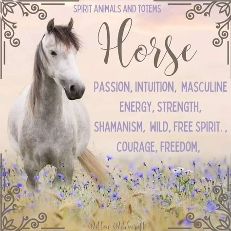 Spirit Animal Horse, Horse Symbolism, Horse Spirit Animal, Christian Witch, Animal Totem Spirit Guides, Kitchen Witches, Rainbow Shelf, Arch Angels, Spirit Animal Meaning