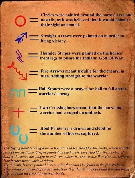 Explanation of symbols used to paint on warrior's horses. Indian Face Paints, Indian Symbols, Native American Horses, Indian Horses, Native American Wisdom, Native American Symbols, American Symbols, Symbols And Meanings, Painted Pony