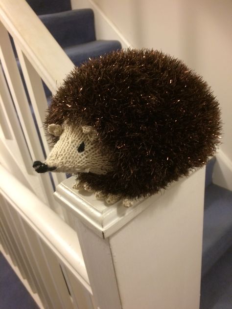 Hedgehog knitting project by Alison D Hedgehog Knitting Pattern, Knitted Hedgehog Pattern Free, Hedgehog Knitting Pattern Free, Knitted Hedgehog, Hekel Patrone, Crochet Hedgehog, Needle Felting Supplies, Crochet Hot Pads, Knitted Toys Free Patterns