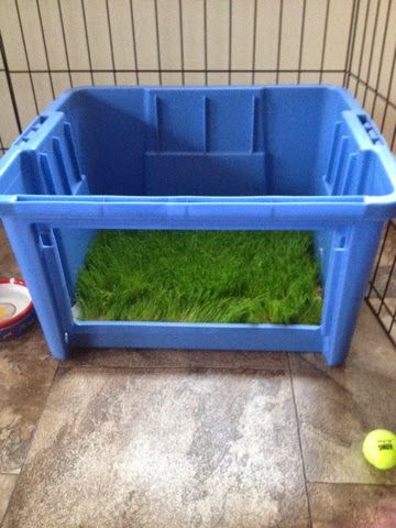 Diy Dog Litter Box Ideas, Indoor Dog Potty Diy, Porch Potty Diy, Dog Poop Area, Dog Potty Diy, Dog Porch Potty, Puppy Hacks, Dog Potty Box, Puppy Planning