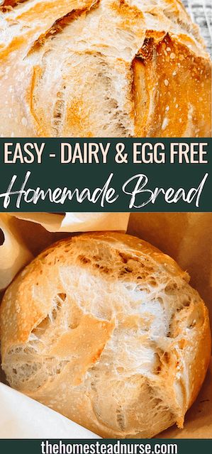 Homemade Bread No Egg, Gluten Free Dairy Free Sourdough Bread, Dairy Free Homemade Bread, Gluten Free Egg Free Bread Recipe, Allergen Free Bread Recipes, Vegan Gluten Free Bread Recipe Easy, Allergen Free Bread, Non Dairy Bread Recipe, Homemade Gluten Free Bread Easy