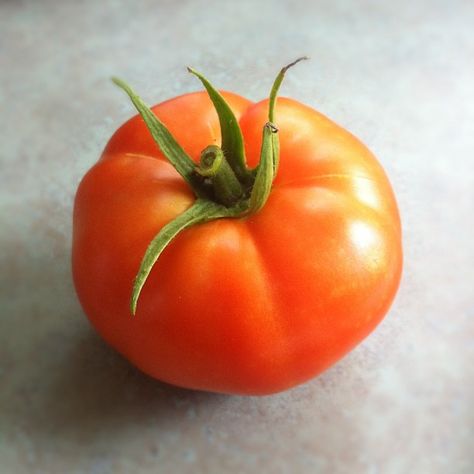 Tomatoes are part of their economy. Tomatoes Still Life Photography, Tomato Still Life Photography, Vegetable Reference Photo, Tomato Reference Photo, Tomato Reference, Still Life Reference Photos For Artists, Art Reference Photos Objects, Tomato Pictures, Tomato Still Life