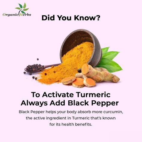 Turmeric and black pepper each have health benefits, due to the compounds curcumin and piperine. As piperine enhances curcumin absorption in the body by up to 2,000%, combining the spices magnifies their effects. With just 1/20 teaspoon or more of black pepper, the bioavailability of turmeric is greatly improved, and turmeric’s benefits are further enhanced. Black Pepper Benefits, Turmeric And Black Pepper, Pepper Benefits, Organic Herbs, Healing Herbs, Be Natural, Black Pepper, Active Ingredient, The Body