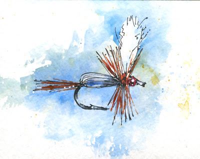 Fly Drawing, Fly Fishing Art, Fishing Decor, Fish Art, Art Paint, Fly Fishing, Watercolor Illustration, Drawing Tutorial, Painting & Drawing