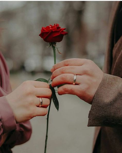 Red Rose, Wedding Rings, Instagram Photos, Red, Instagram