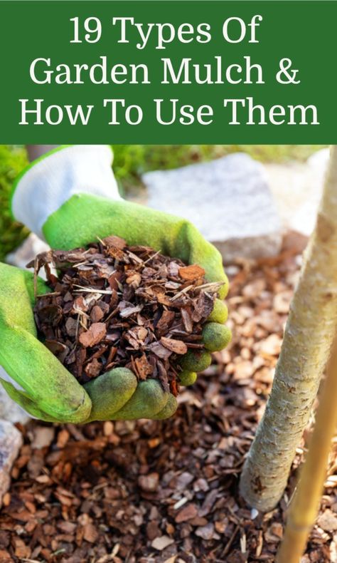 Mulch Alternatives, Brown Mulch, Sheet Mulching, Garden Mulch, Tips For Growing Tomatoes, Types Of Mulch, House Gardening, Mulch Landscaping, Diy Gardening Ideas