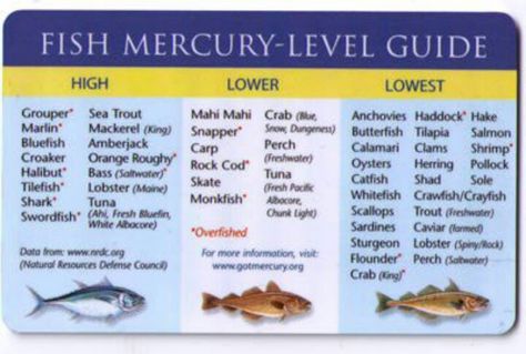 Fish mercury guide Purine Diet, Low Mercury Fish, Fish Benefits, Fish Oil Benefits, Easy Marinades, Healthier Food, Summer Appetizer, Health Nut, Food Choices