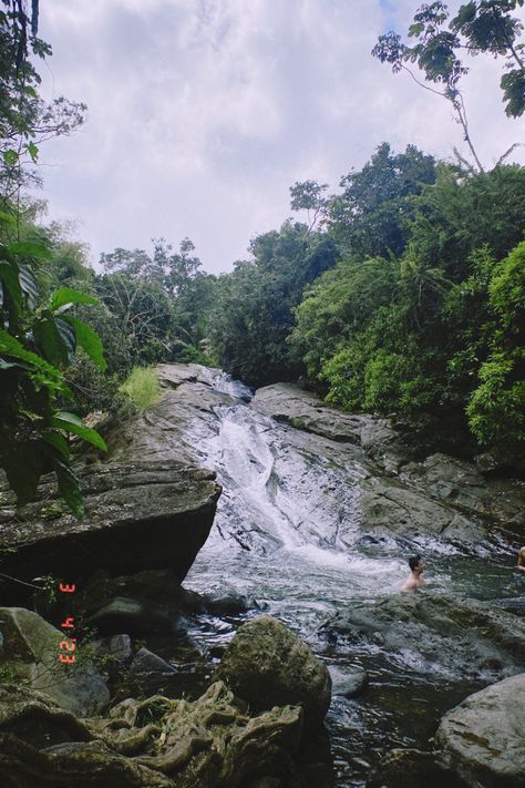 El Yunque Rainforest in Puerto Rico Puerto Rico Rain Forest, Puerto Rico Waterfalls, El Yunque Puerto Rico, Rainforest Waterfall, Rincon Puerto Rico, Natural Water Slide, El Yunque Rainforest, El Yunque National Forest, Puerto Rico Trip