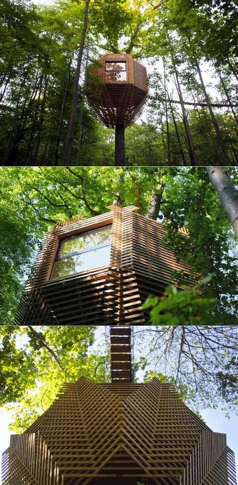 Geometric Treehouse Inspired By “Bird’s Nest” Brings You Closer To Nature   #treehouse #treehousehotel #retreat #getaway Bird Nest House, Birds Nest Architecture, Bird Nest Building, Bird Nest Architecture, Nest Tree House, Nest Architecture, Bird Hide, Front Porch Seating, Treehouse Living