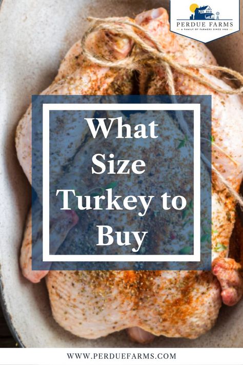 Tis the ultimate question come the holiday season. Here, we share our suggestions for turkey size per number of guests, based on both servings with no leftovers and with leftovers taken into account. Size Of Turkey For Thanksgiving, What Size Turkey Should I Get, Turkey Size For People, Turkey Per Person, 15 Lb Turkey, Turkey Size Chart, How Much Turkey, Pulled Beef, Frozen Turkey