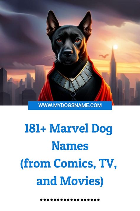 181+ Marvel Dog Names (from Comics, TV, and Movies) Marvel Names For Dogs, Marvel Dog Names, Marvel Names, Dogs Names List, Boy Dog Names, Girl Dog Names, Female Dog Names, Superhero Names, Famous Dogs