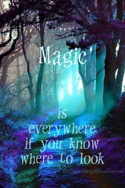 magic life quotes blue inspirational quotes Magic Quotes Inspiration Beautiful, Blue Inspirational Quotes, Mystical Quotes, Magic Pictures, Forest Quotes, Fairytale Quotes, Fairy Quotes, Miracles Happen Everyday, Door Quotes