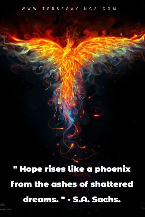 These Phoenix quotes about failing and succeeding again will inspire you to succeed once more. The phoenix was revered in ancient Greece as a mystical bird that lived a long life, perished in flames, and then rose again. #Phoenixquotes #PopularPhoenixquotes #PhoenixquotesAboutLife #RisingPhoenixquotes #FemalePhoenixquotes #Risefromtheashesquotes #PhoenixquotesValorant #PhoenixquotesShort #FunnyPhoenixquotes Miss My Husband Quotes, Phoenix Quotes, Physics Facts, Eye Opening Quotes, Quotes Popular, Angel Sketch, Rise Quotes, Phoenix Artwork, Phoenix Images