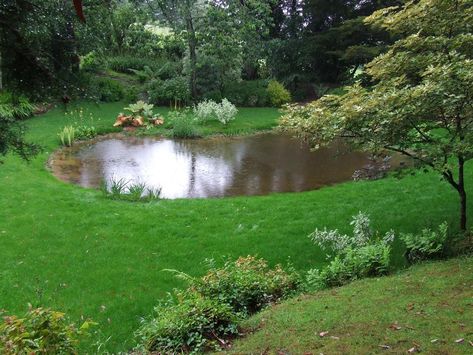 Wildlife Pond, Large Pond, Pond Construction, Fishing Pond, Naturalistic Garden, My Own Private Idaho, Pond Liner, Exterior Remodel, Fish Ponds