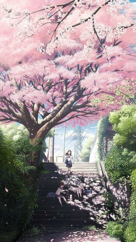 #anime #animewallpaper #pixiv Anime Cherry Blossom, Yuumei Art, Sakura Wallpaper, Cherry Blossom Girl, Cherry Blossoms Illustration, Cherry Blossom Wallpaper, Anime Body, Sakura Tree, Art Asiatique