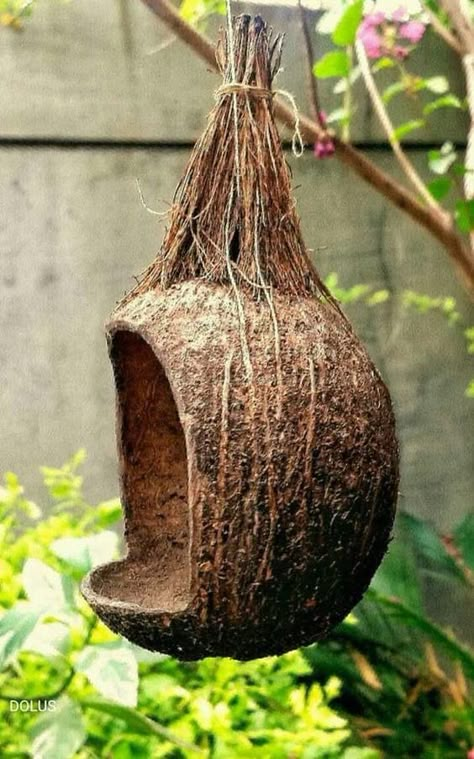 Coconut Shell Crafts, Bird Houses Ideas Diy, Diy Crafts Love, Bird Cage Decor, Diy Bird Feeder, Bamboo Crafts, Garden Crafts Diy, House Plants Decor, Diy Crafts Room Decor