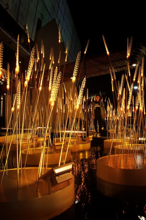 Bühnen Design, Light Art Installation, Lighting Installation, Rice Field, Light Sculpture, Environmental Design, Light Installation, Stage Design, Design Museum