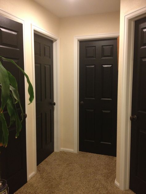 @Shawn O Lantz Same paint color as our walls Doors In Hallway, Doors Painting, Painting Stripes On Walls, Entry Mudroom, Trim Paint, Black Interior Doors, Light Trim, Inside House, House Updates