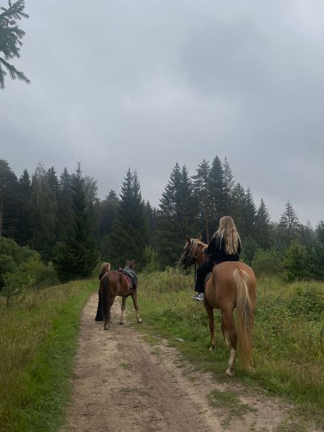 Horse Riding Through Forest, Forest Horse Riding, Mountain Horse Riding, Horse Riding Forest, Horseback Riding Photos, Horses At Home, Horse Back Riding Asethic, Horse Trail Ride, People Riding Horses