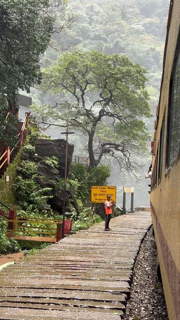 Dudhsagar Waterfalls, Goa, Lost, On Instagram, Beauty, Instagram, Nature