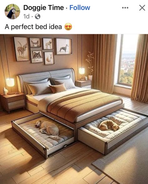 Large Dog Bed Ideas Living Rooms, King Bed With Dog Bed Attached, Large Dog Bed Ideas, Dog Bed Ideas, Dogs Bed, Dog Bedroom, Large Dog Bed, Dog Ideas, Accent Wall Bedroom