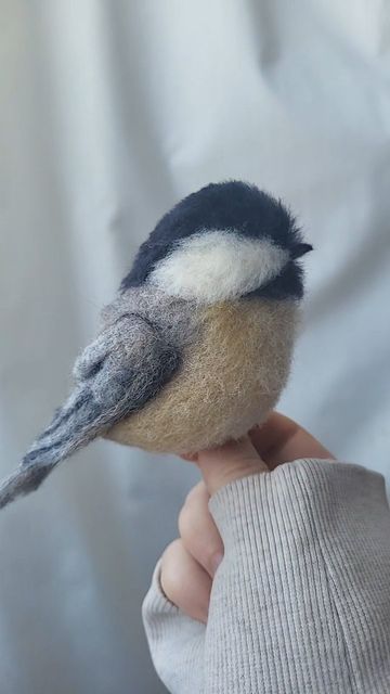 Christina Meadwell on Instagram: "Poking away at this little chickadee 🥰❤️. Just needs ... several more hours of fussing over, and little bird feet! * * * * #felting #needlefelting #feltedbird #woolbird #feltedchickadee #woolchickadee #birdart #woolbirds #woolanimals #feltedanimals" Felted Birds, Wool Animals, Felt Baby, Felt Birds, Needle Arts, Little Bird, Felt Animals, Bird Art, Felt Crafts